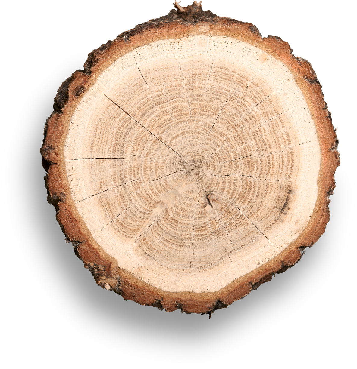 Wood.